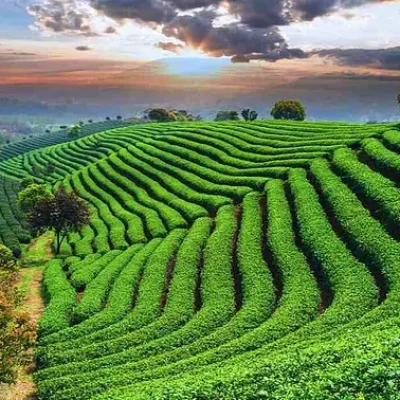 Bangladesh