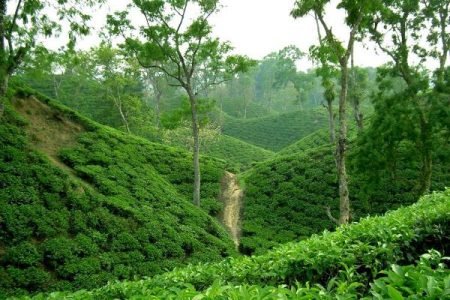 Popular Educational Bangladesh Tour