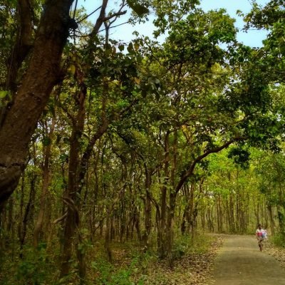 Gazipur